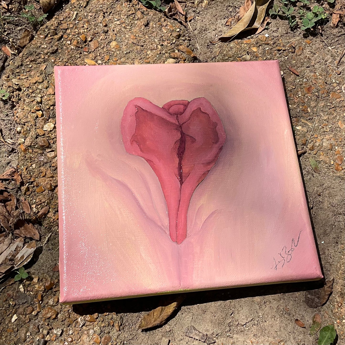 Heart Shaped Box