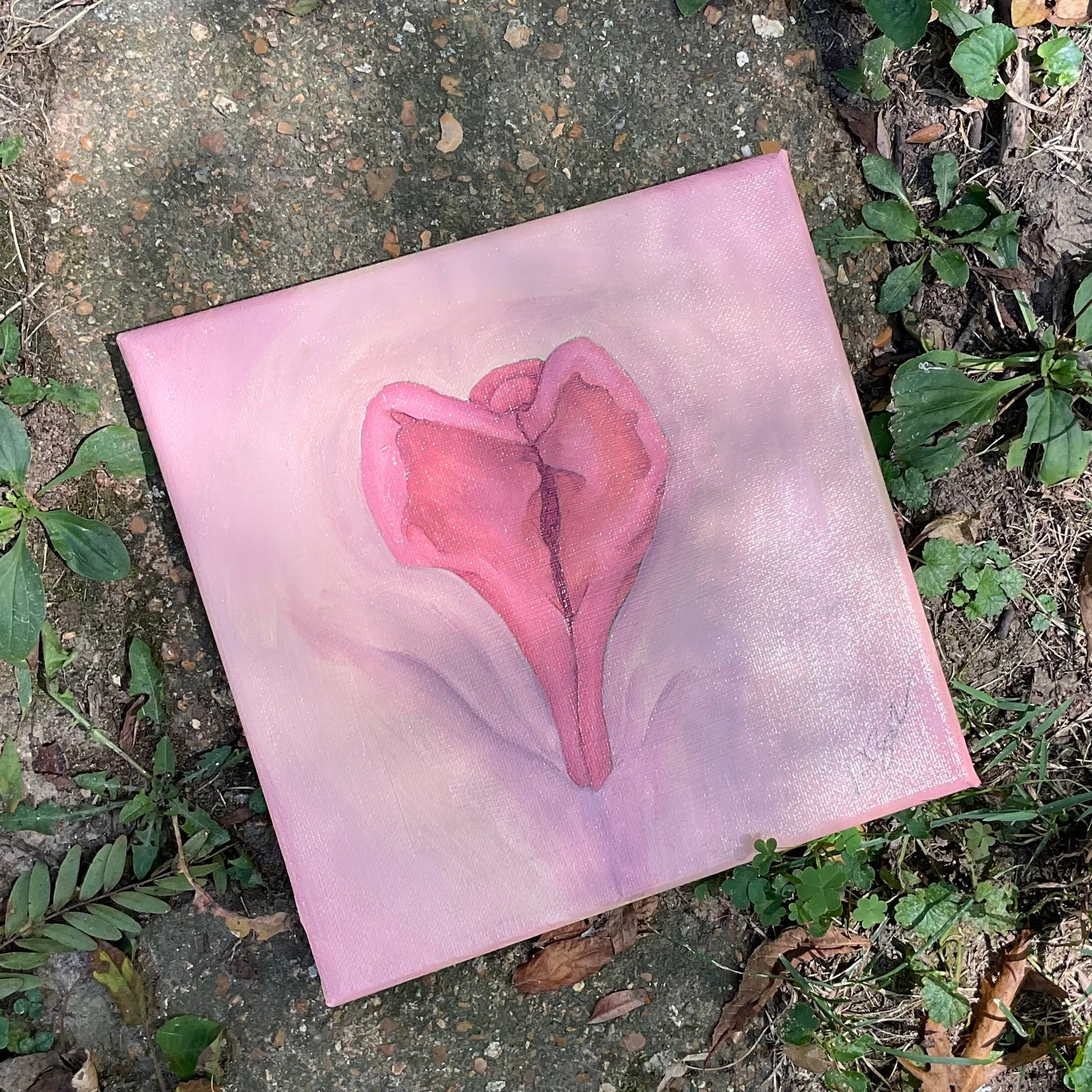 Heart Shaped Box