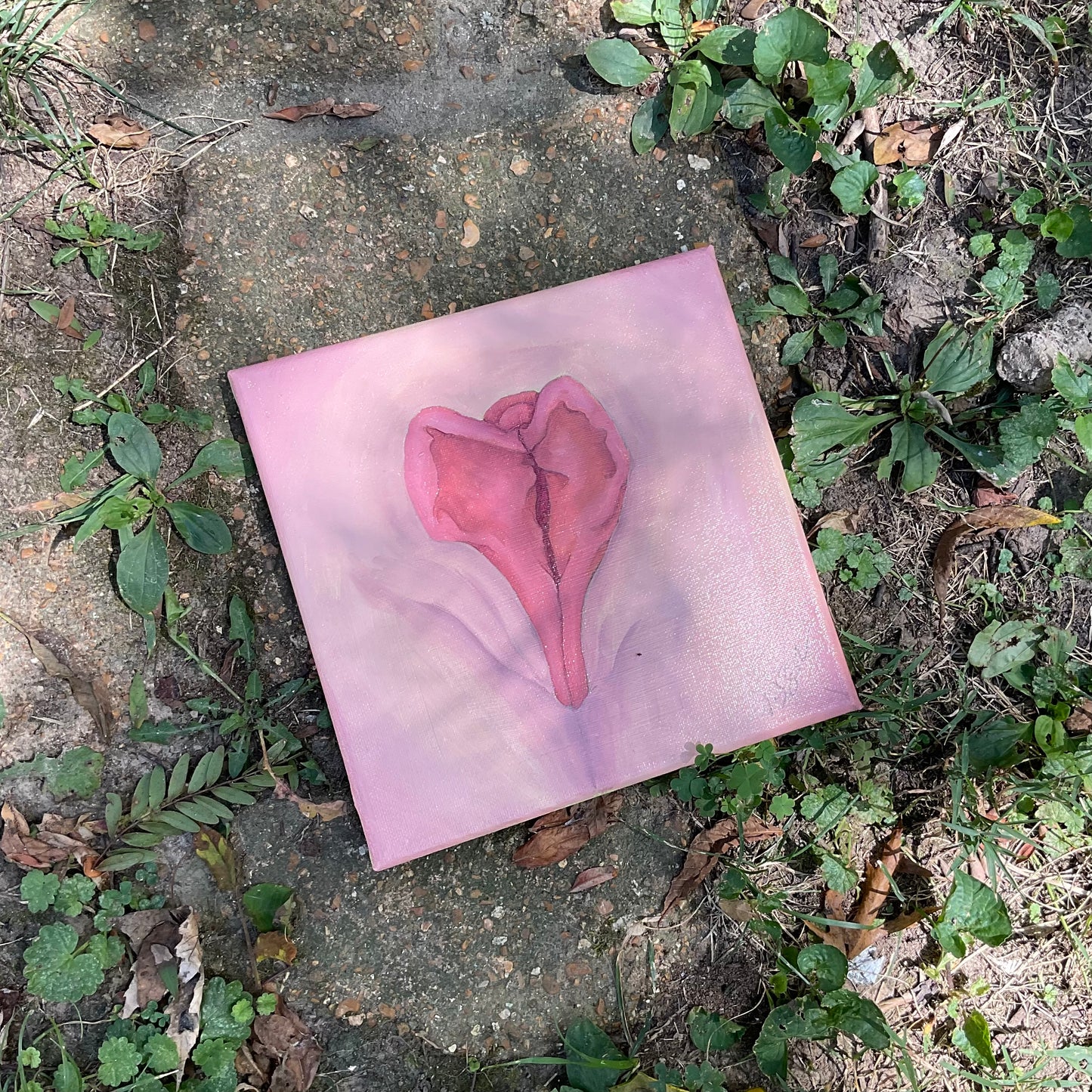 Heart Shaped Box
