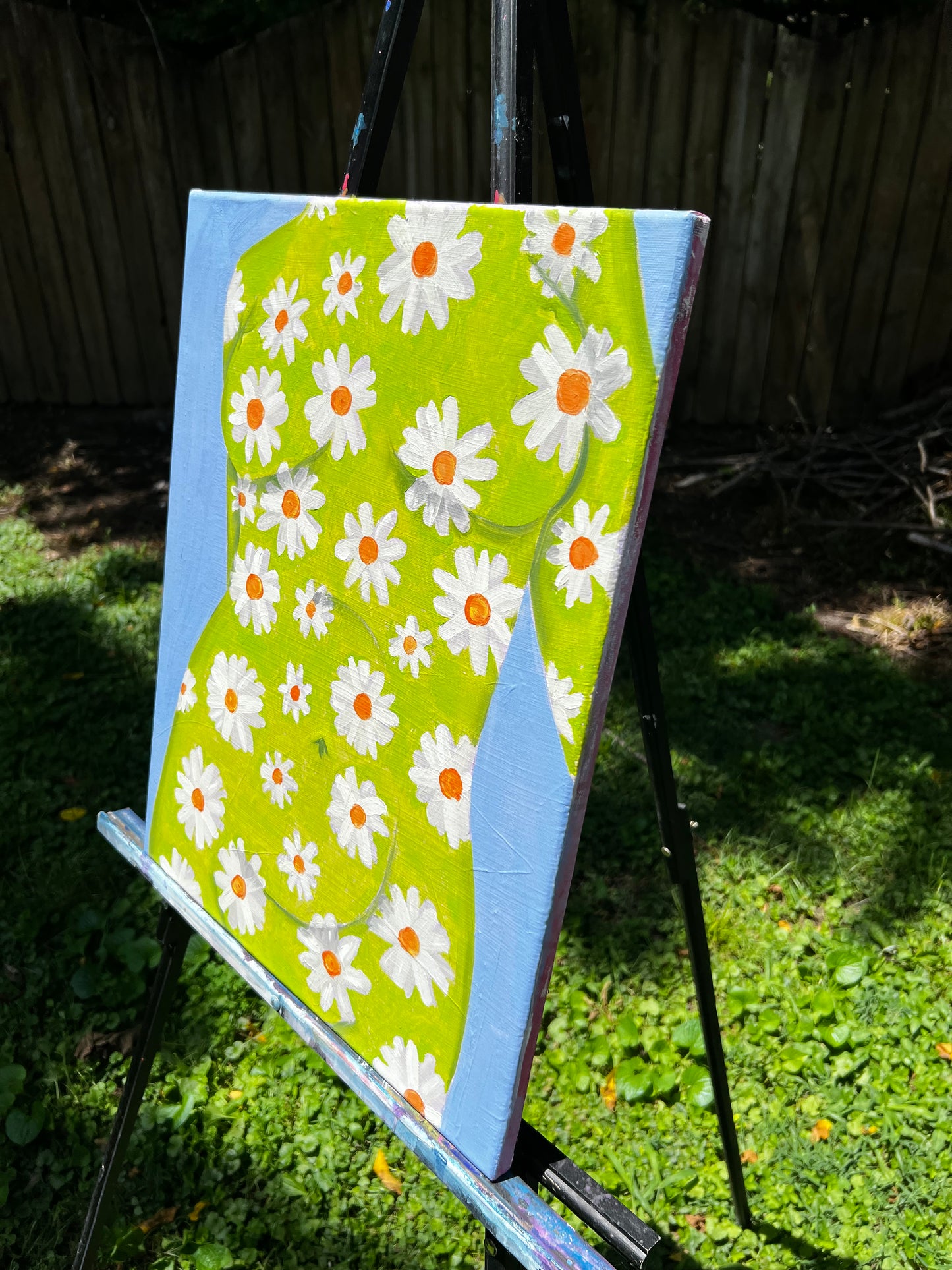 Daisies