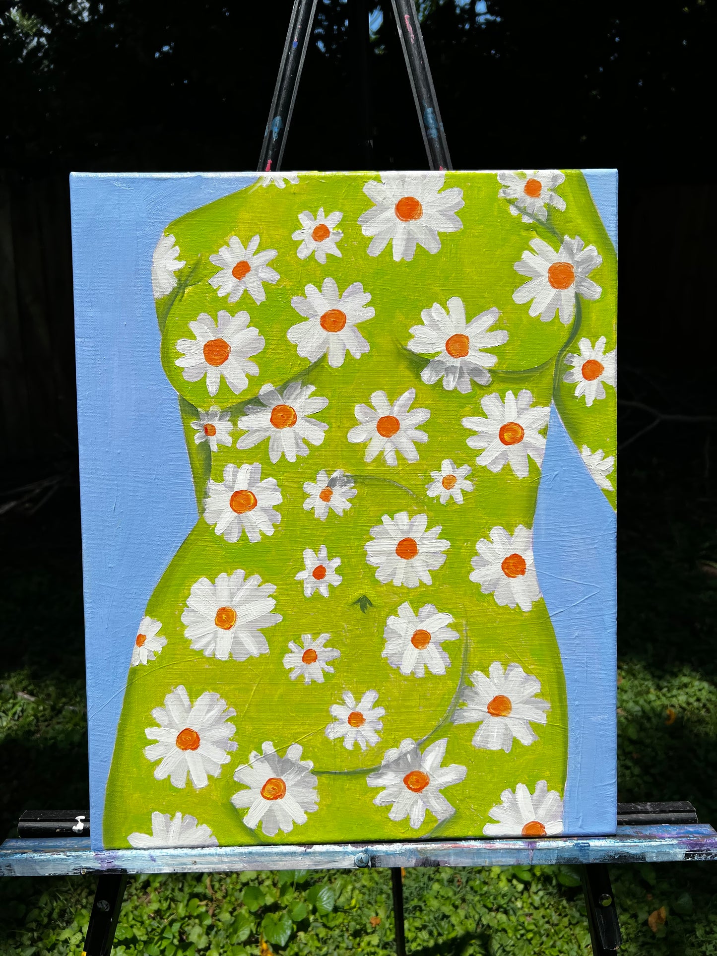 Daisies