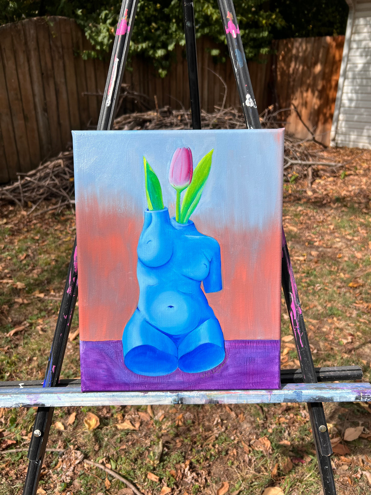 Tulip In Bloom