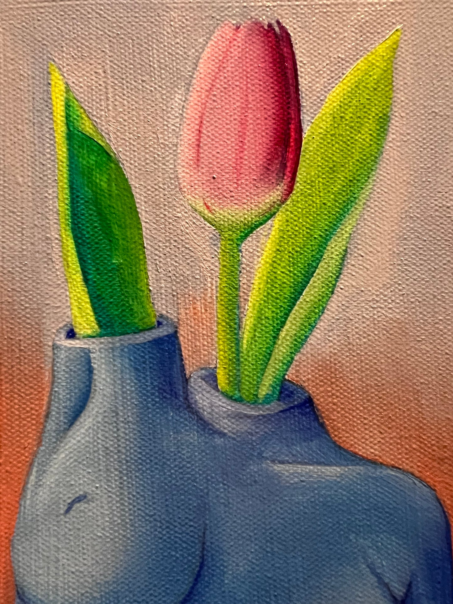 Tulip In Bloom