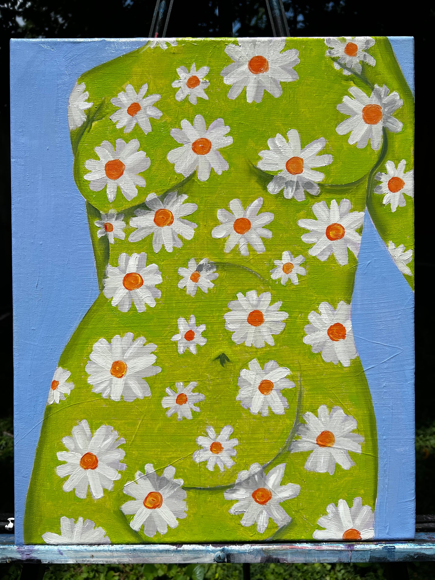 Daisies