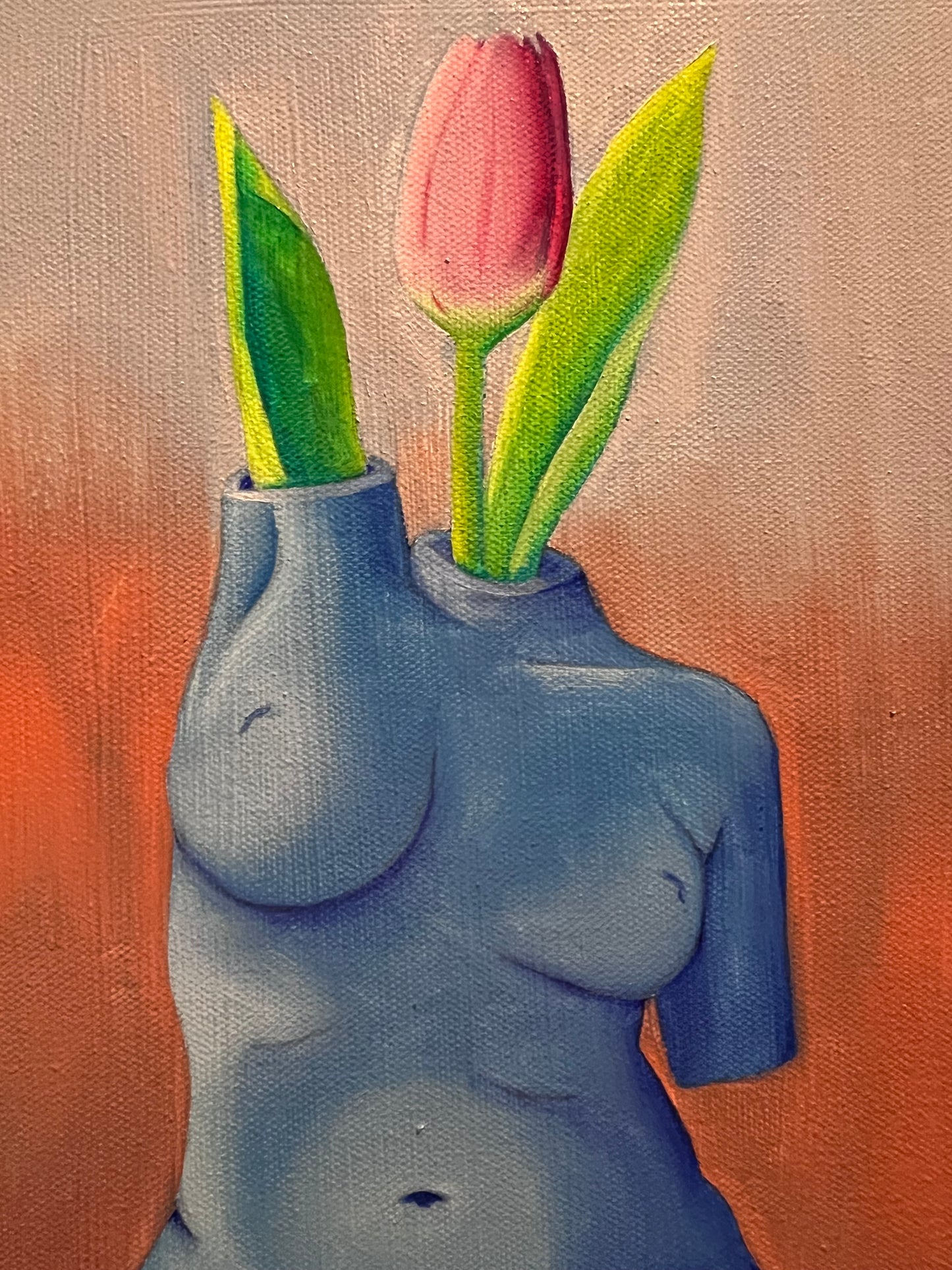Tulip In Bloom