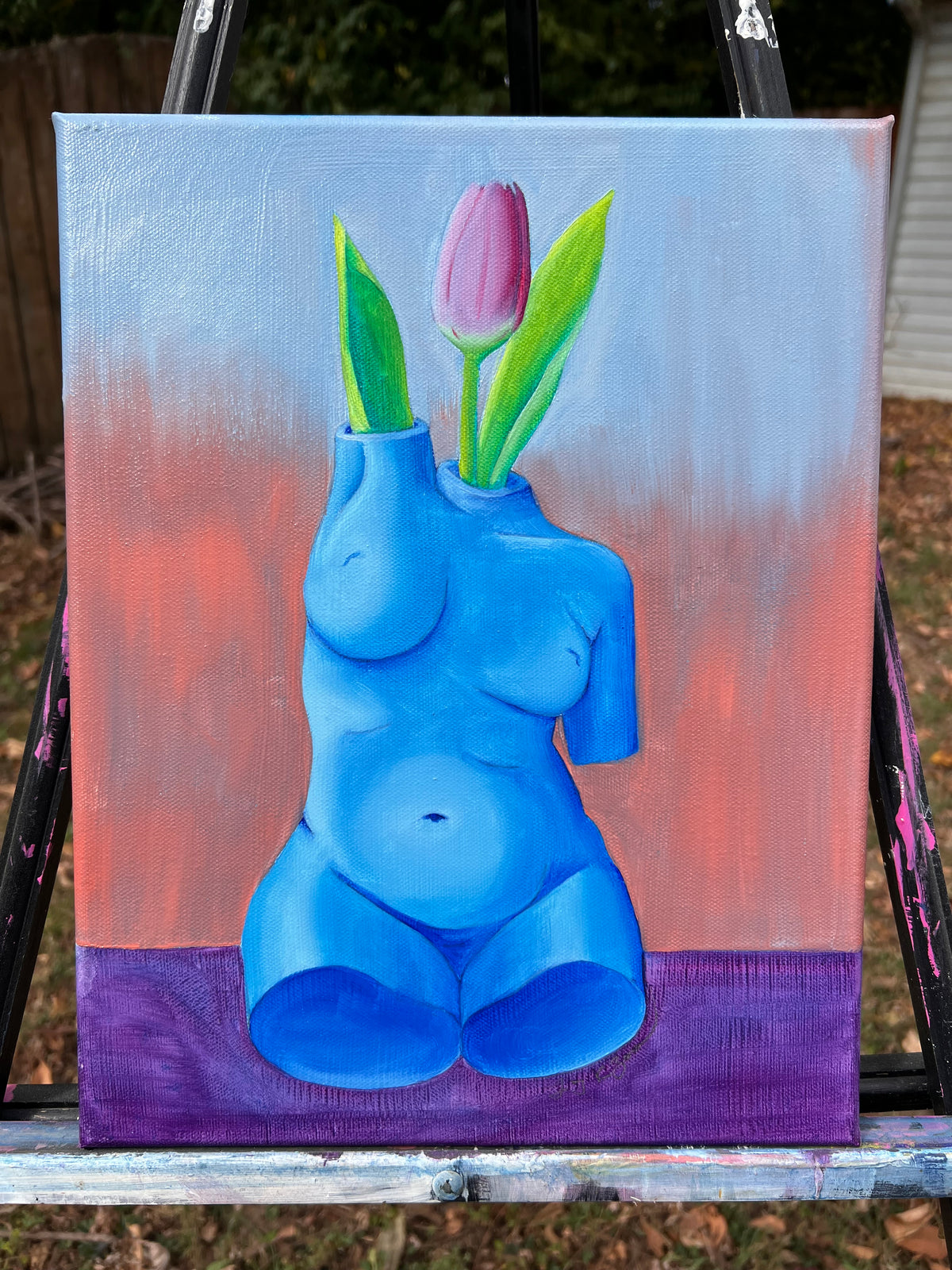 Tulip In Bloom