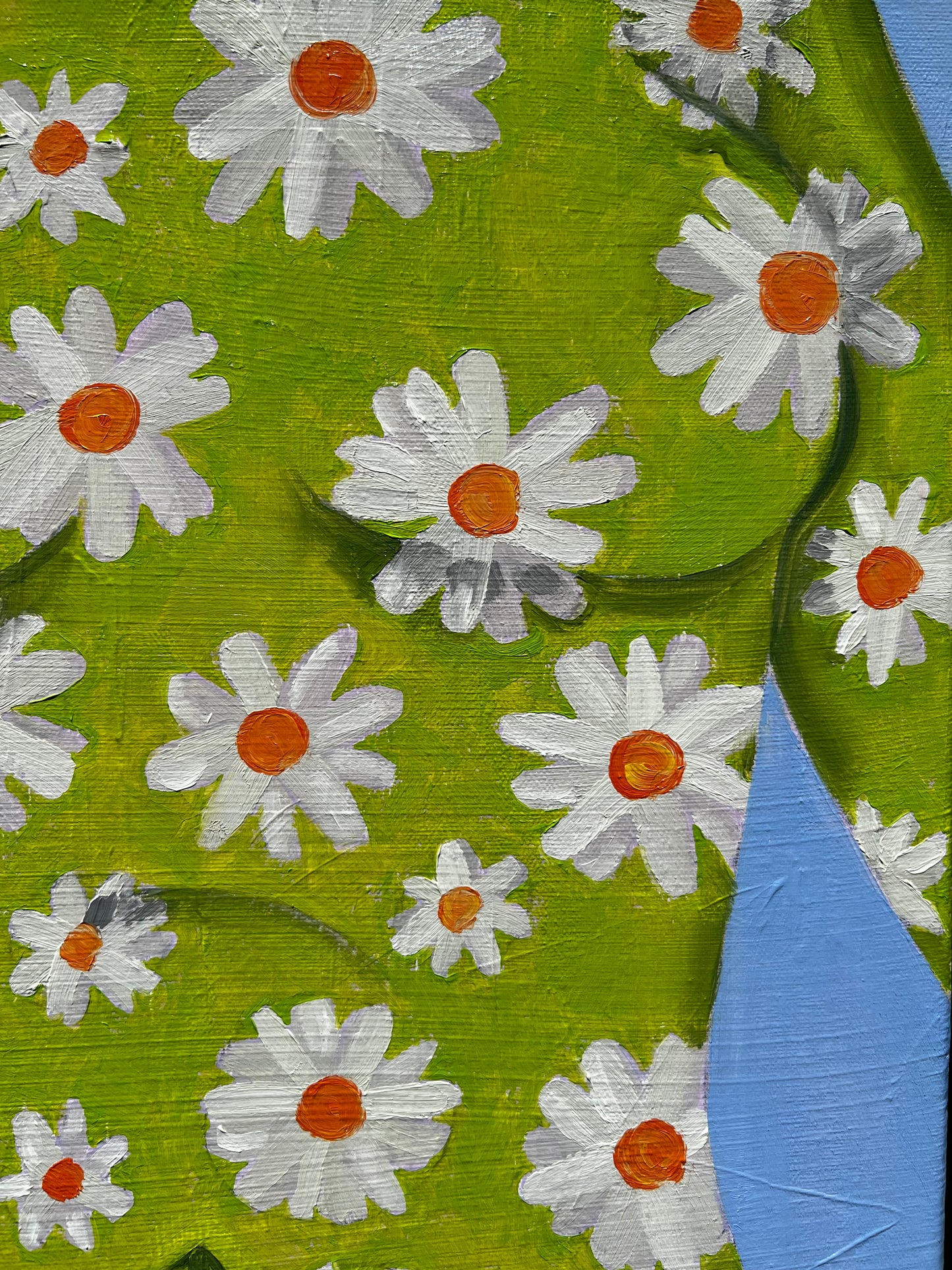 Daisies
